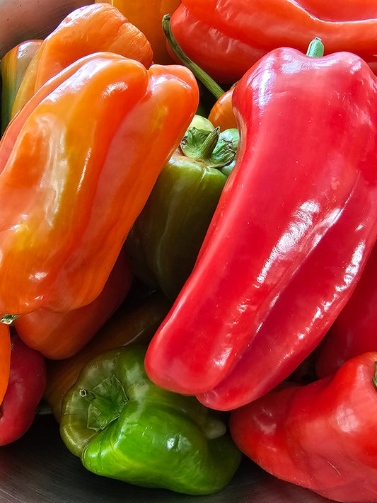 What to do with all those Tomatoes!?