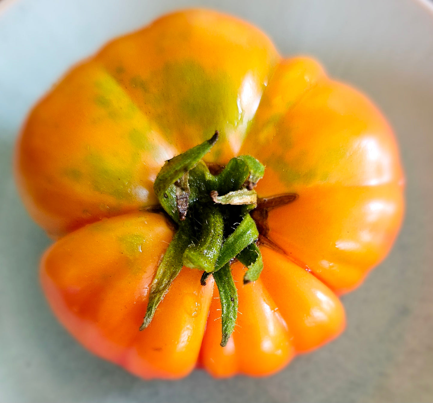 Big Rainbow - Heirloom Tomato