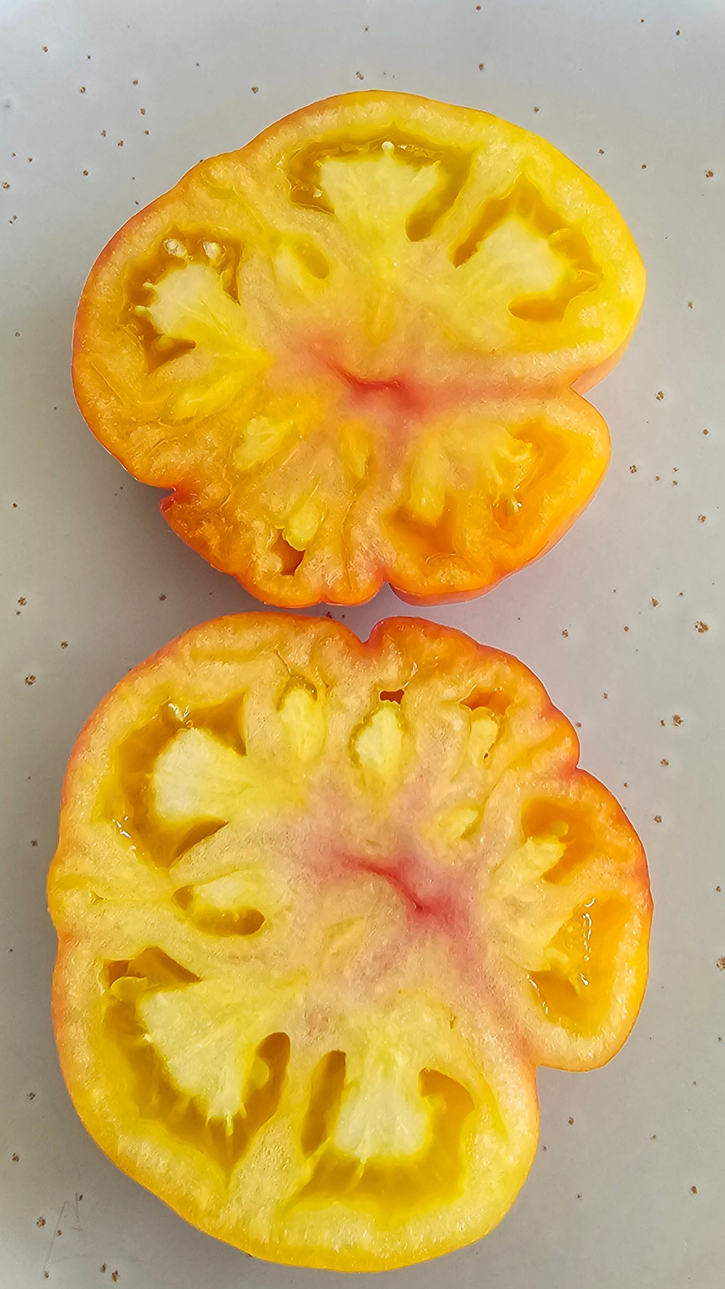 Big Rainbow - Heirloom Tomato