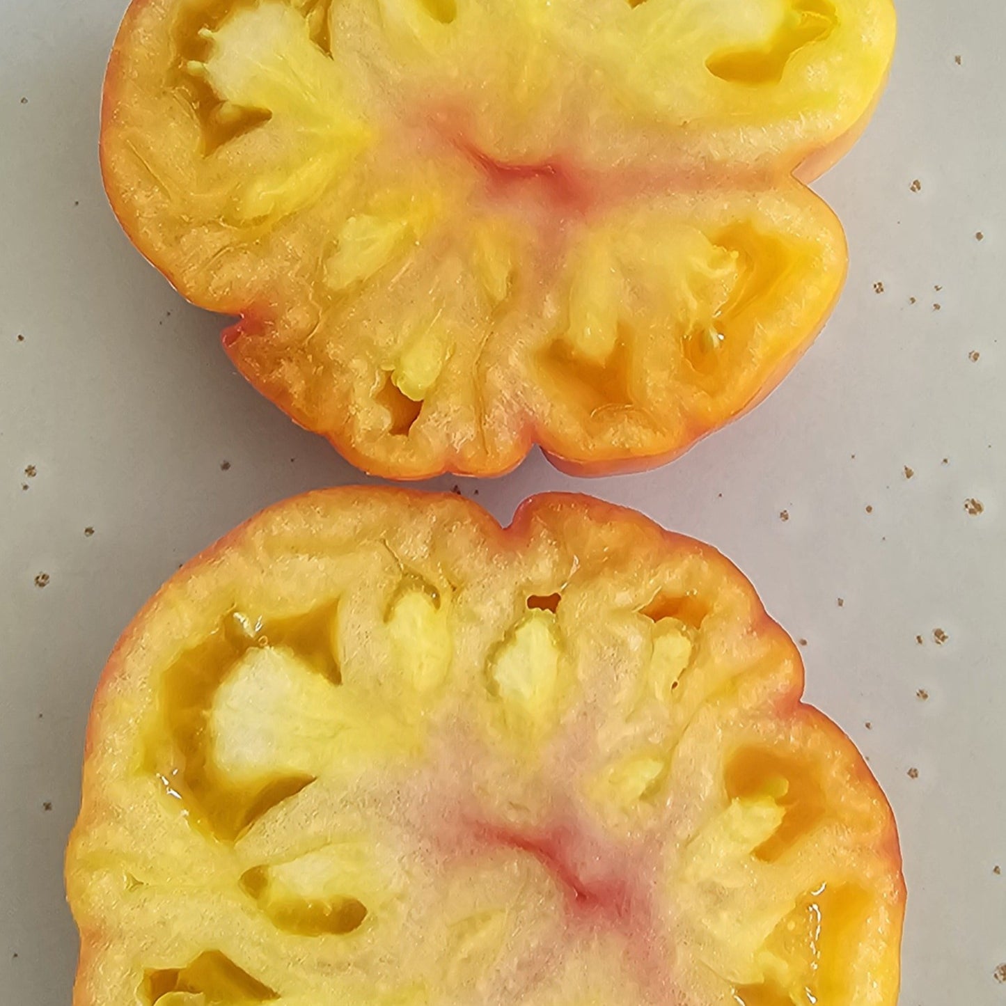 Big Rainbow - Heirloom Tomato