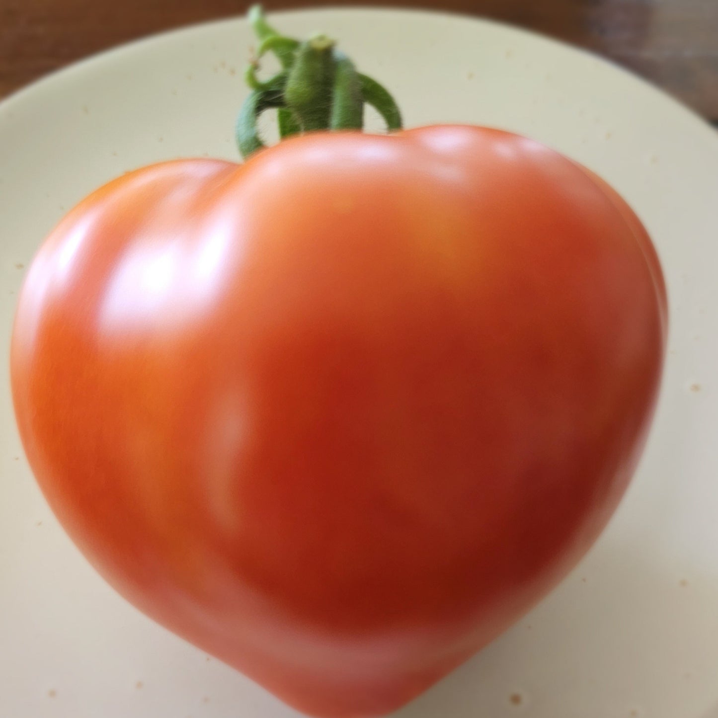 Box Car Willie - Heirloom Tomato