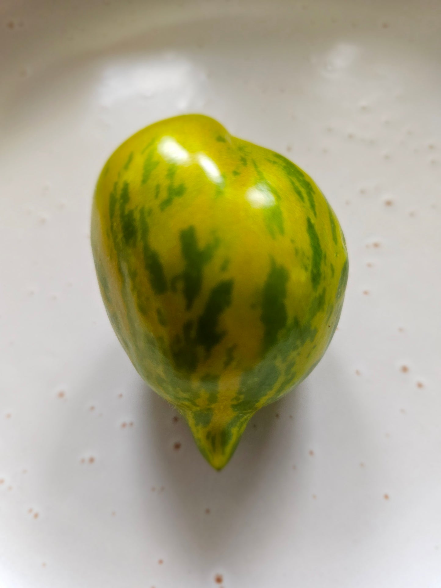 Michael Pollan aka Mint Julep - Heirloom Tomato