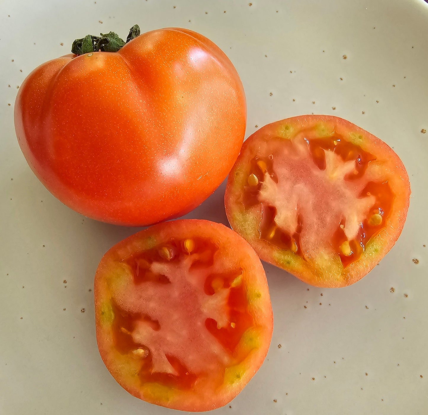Oaxacan Pink Mexican