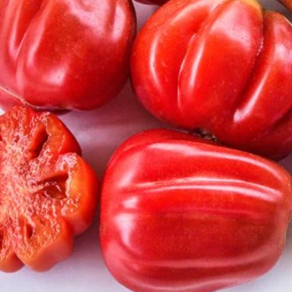 Tlacolula Pink - Heirloom Tomato