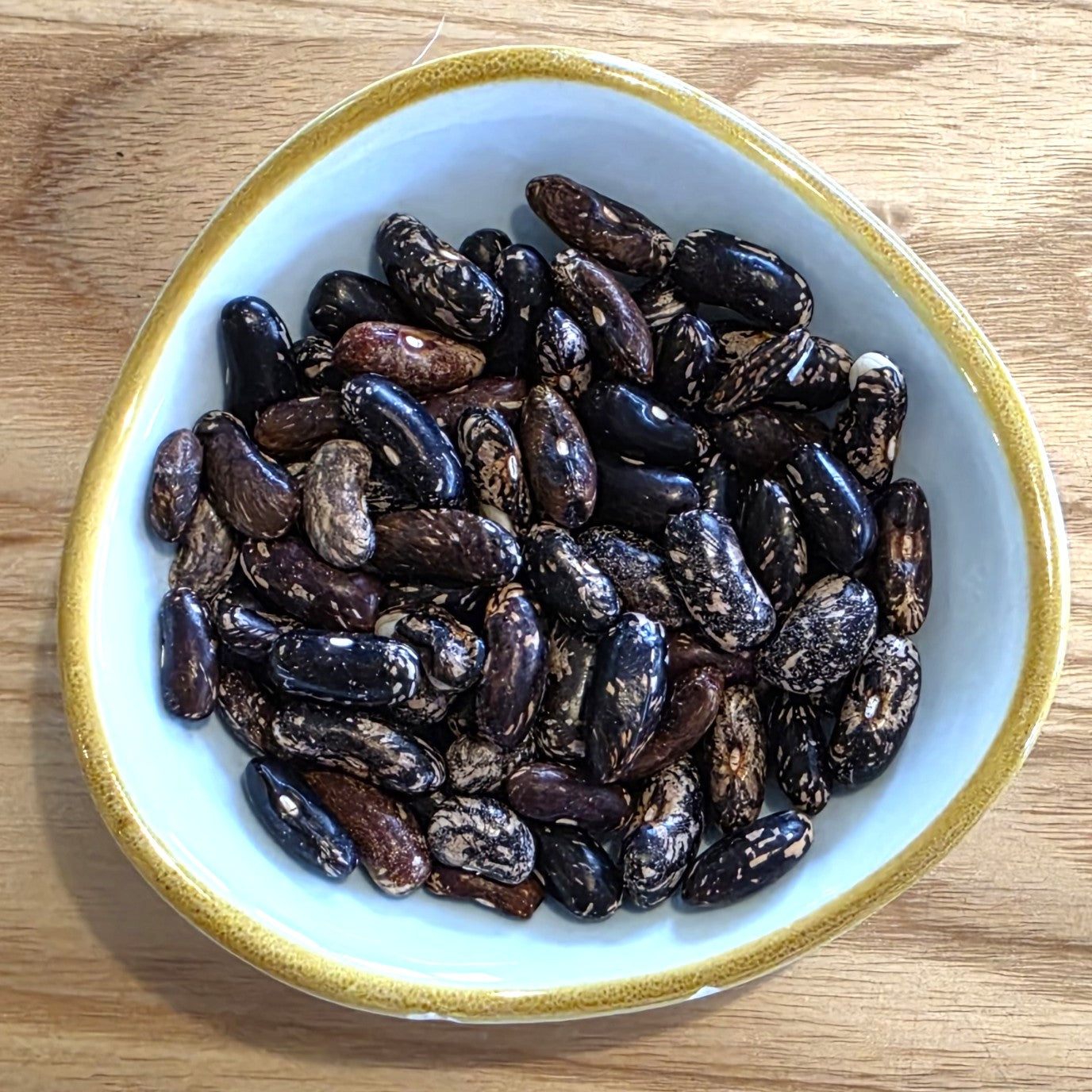 Triomphe de Farcy - Heirloom Bean