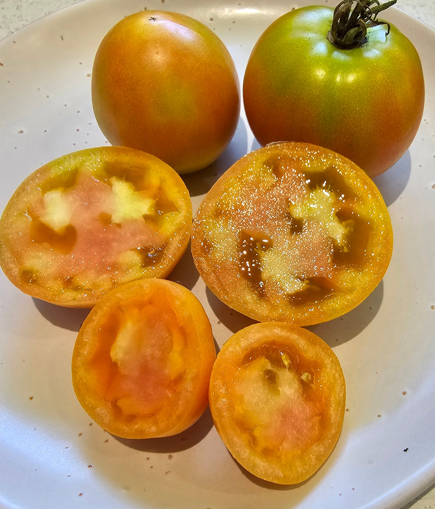 Yellow Out Red In - Heirloom Tomato