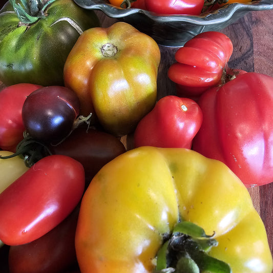 Pink Surprise - Heirloom Tomatoes