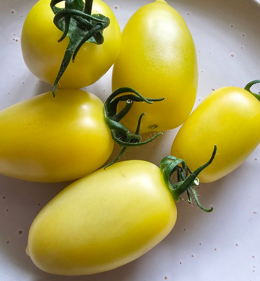 Banana Legs - Heirloom Tomato