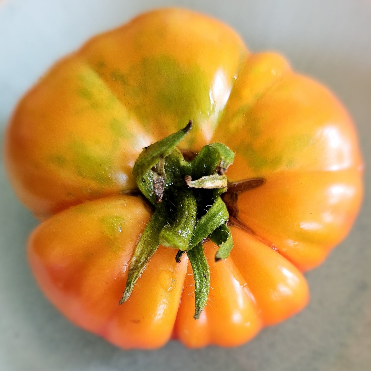 Big Rainbow - Heirloom Tomato