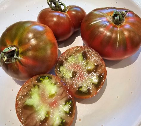 Black from Tula - Heirloom Tomato