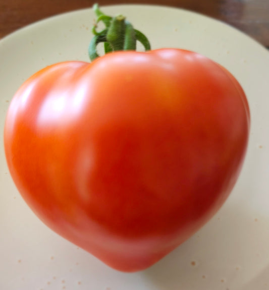 Box Car Willie - Heirloom Tomato