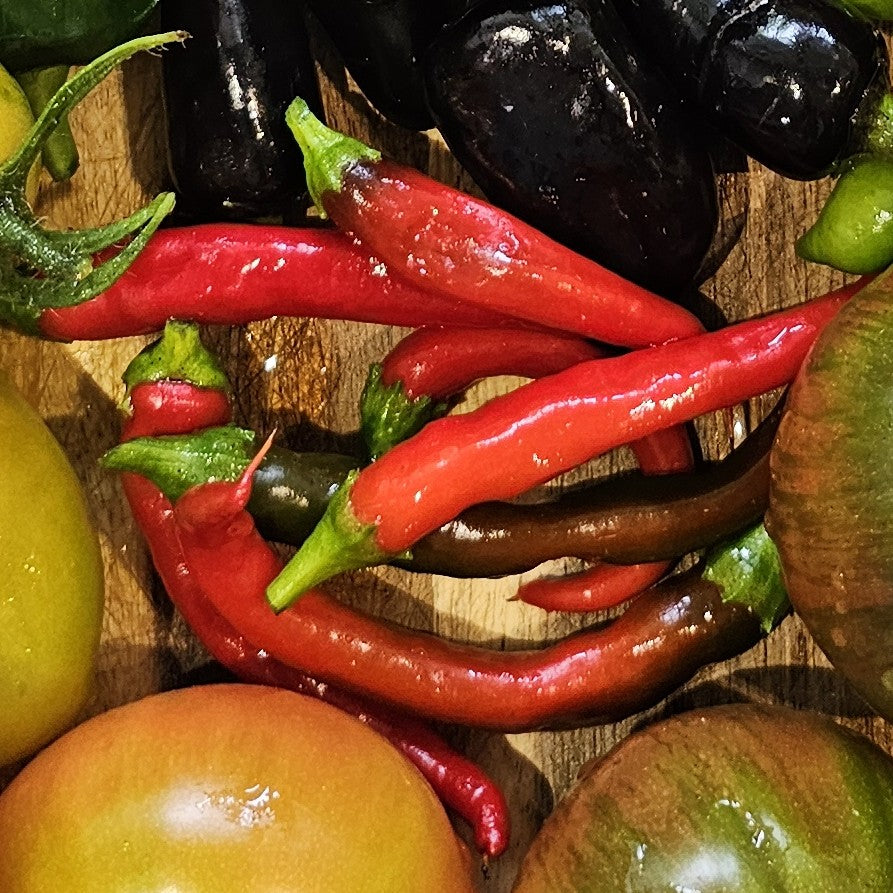 Cayenne - Heirloom Chilli