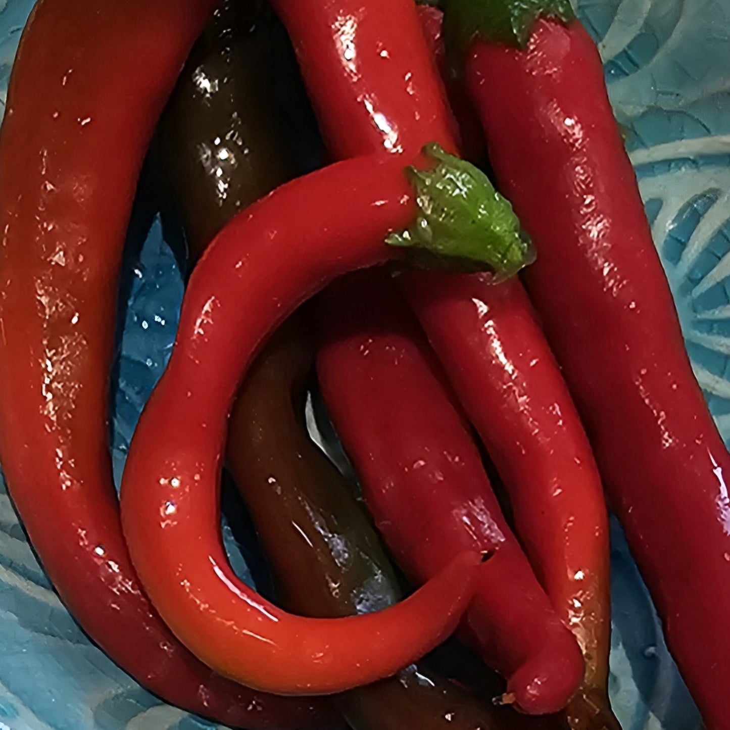 Cayenne - Heirloom Chilli