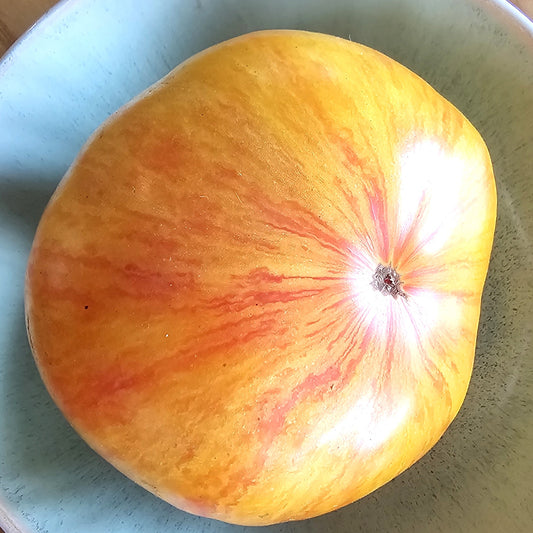 Copia - Heirloom Tomato