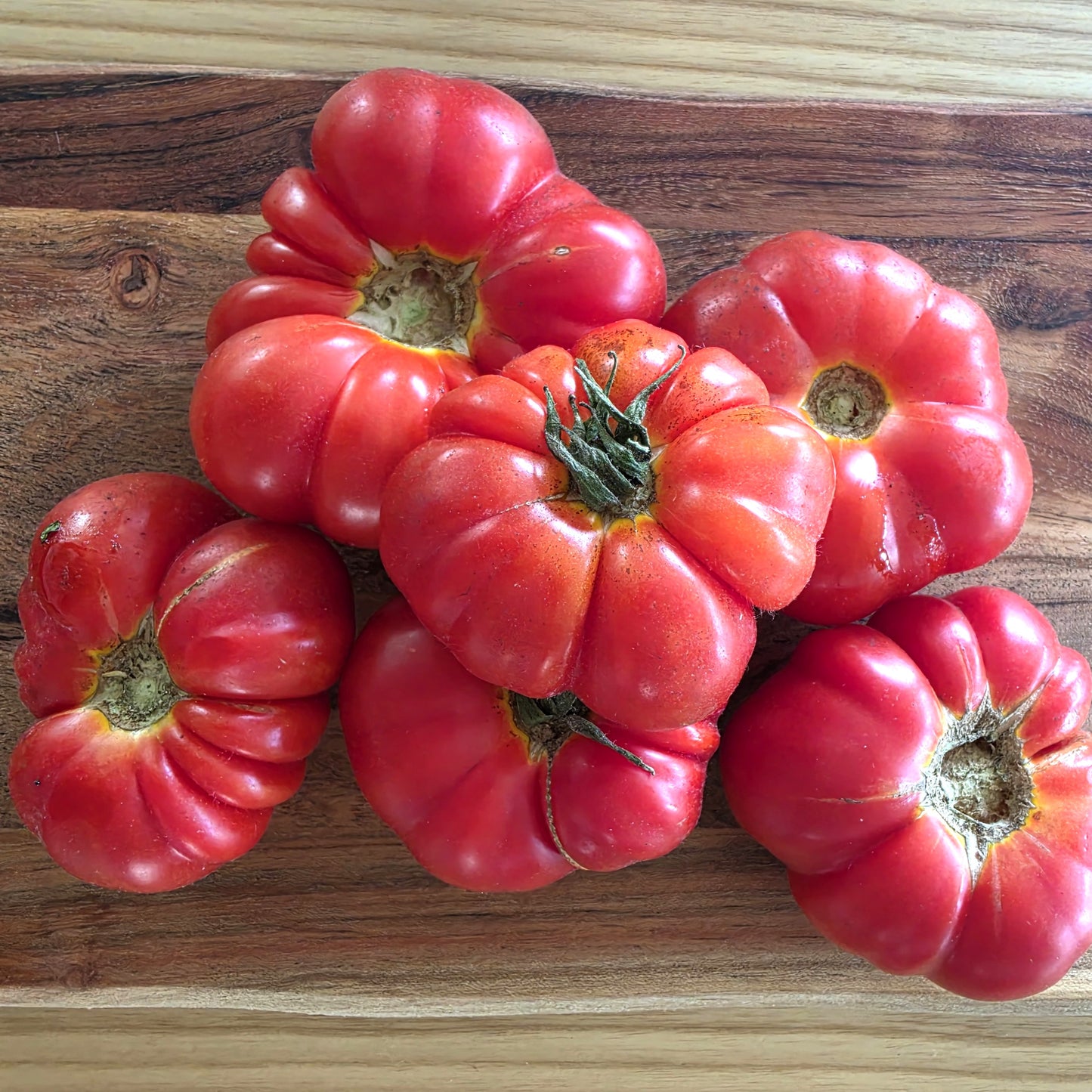 Costoluto Fiorentino - Heirloom Tomato