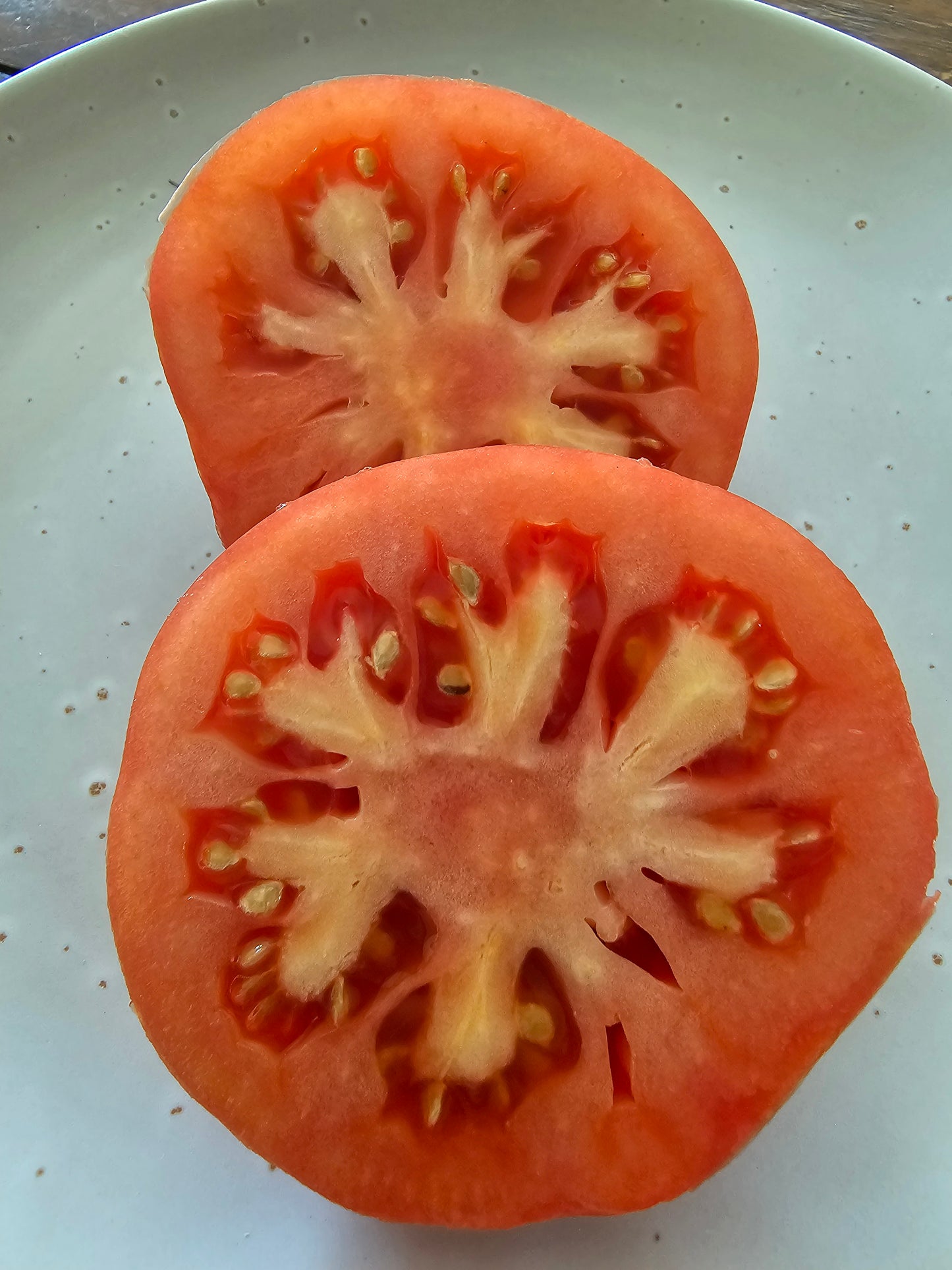 Croatian - Heirloom Tomato