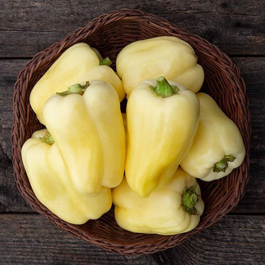 Diamond Pepper - Capsicum annuum