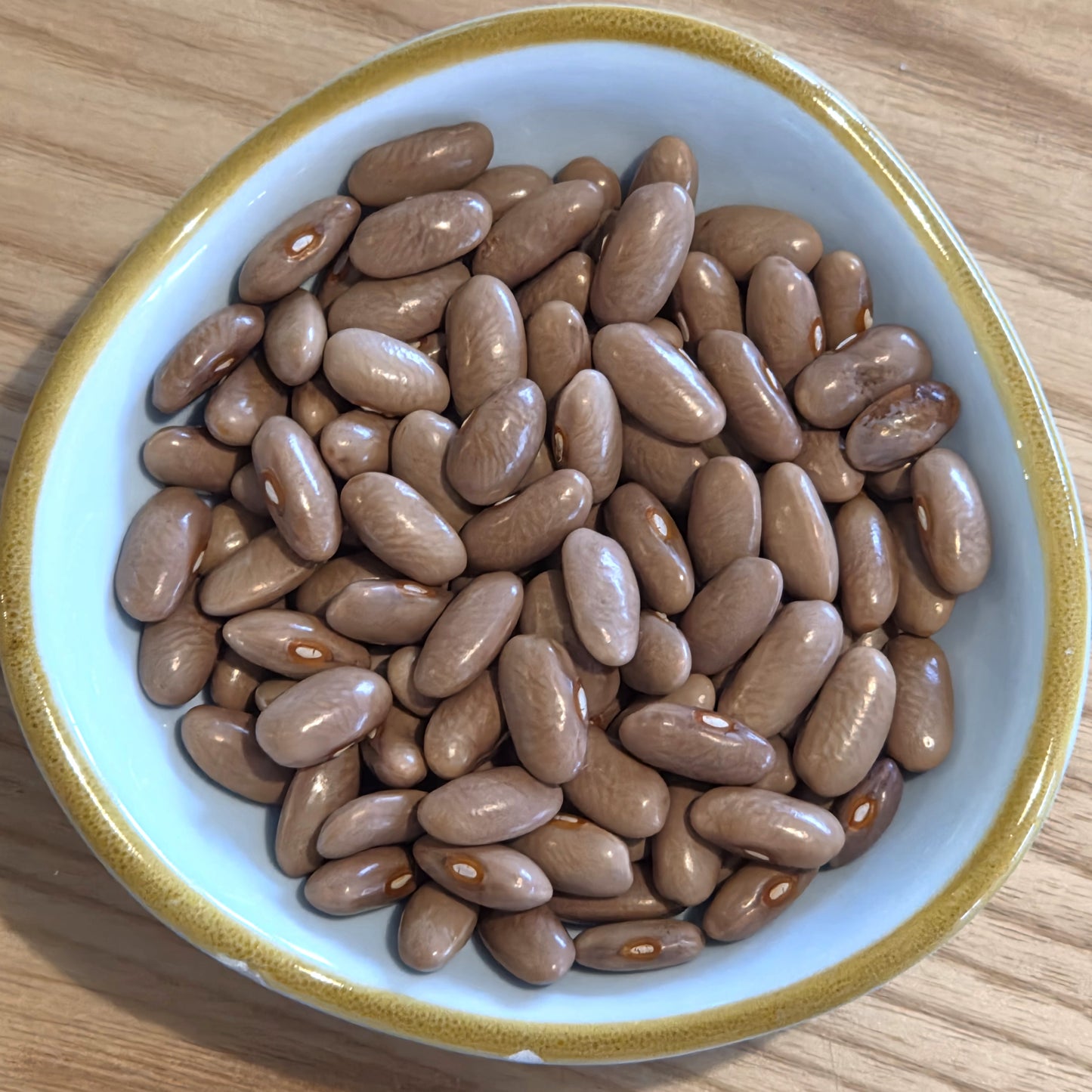 Kentucky Wonder - Heirloom Bean