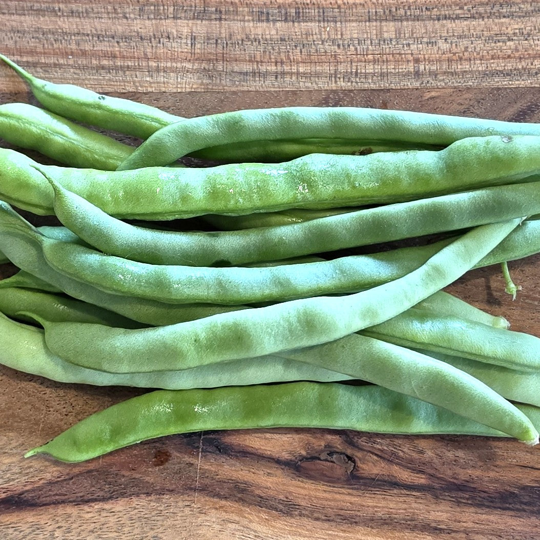 Kentucky Wonder - Heirloom Bean