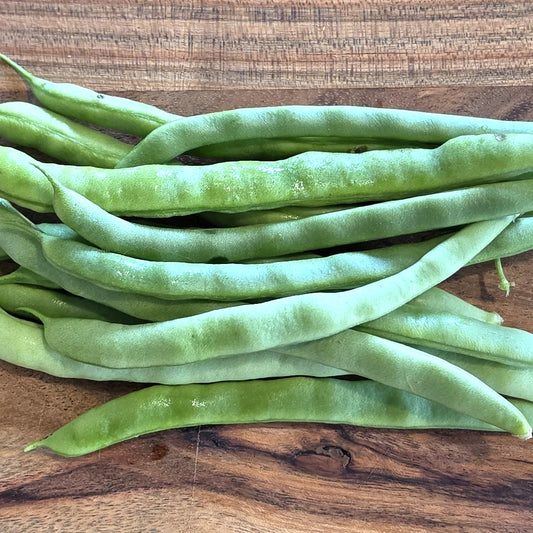 Kentucky Wonder - Heirloom Bean
