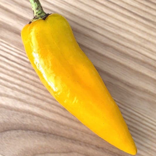 Marconi Yellow - Heirloom Pepper