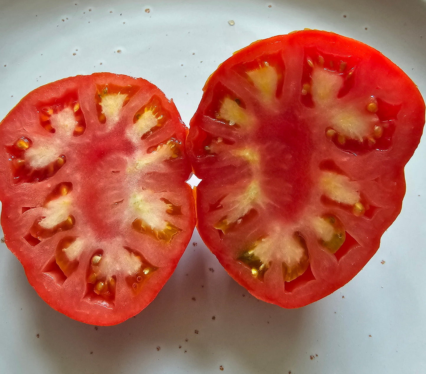 Marmande - Heirloom Tomato