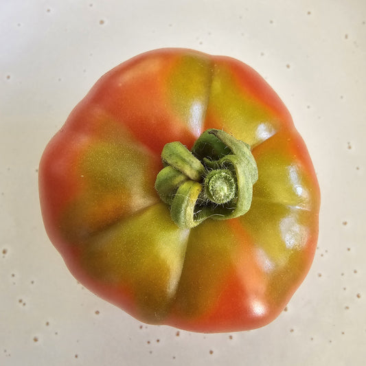 Marmande - Heirloom Tomato