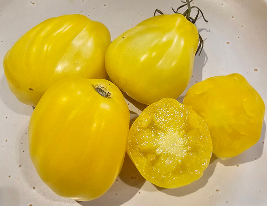Tlacolula Yellow - Heirloom Tomato