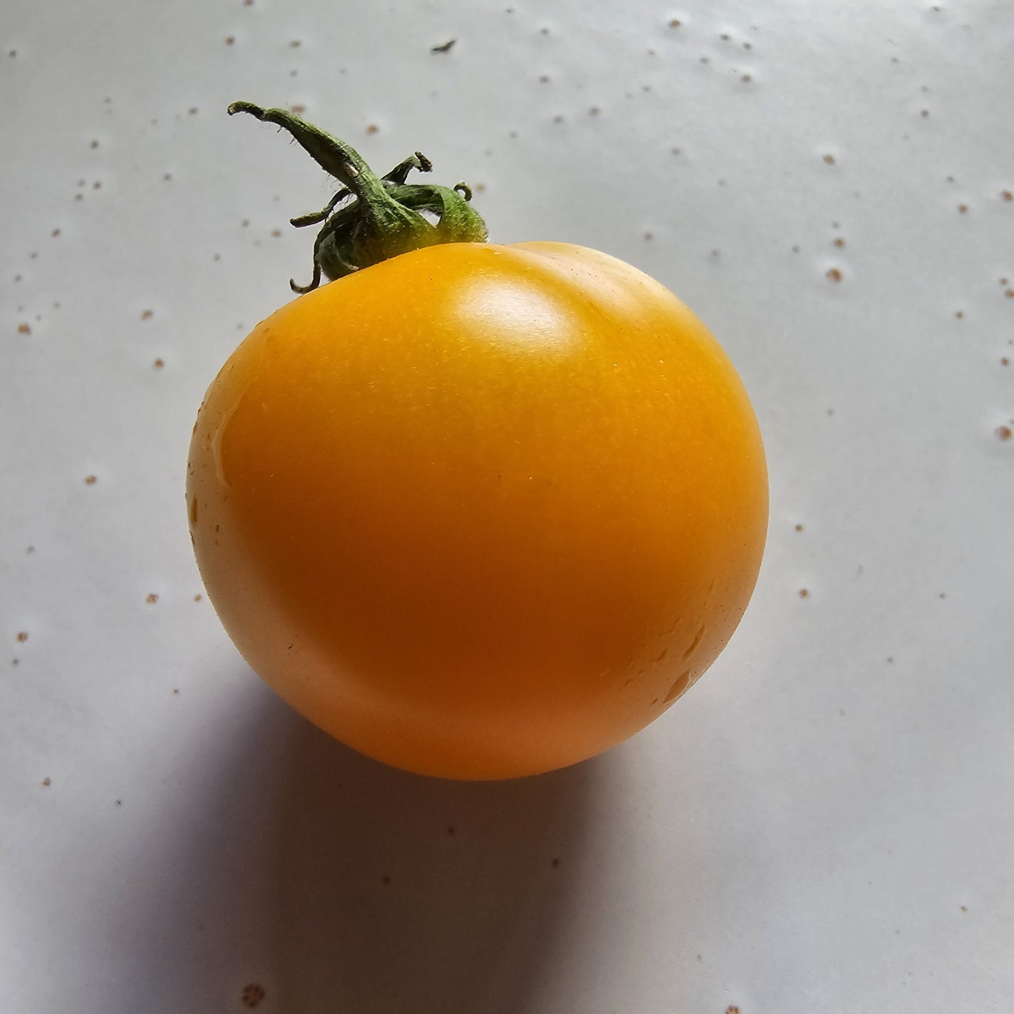 Mini Orange - Heirloom Tomato