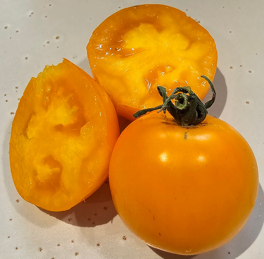Olga's Round Yellow Chicken Egg - Heirloom Tomato