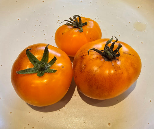 Orange Fleshed Purple Smudge - Heirloom Tomato