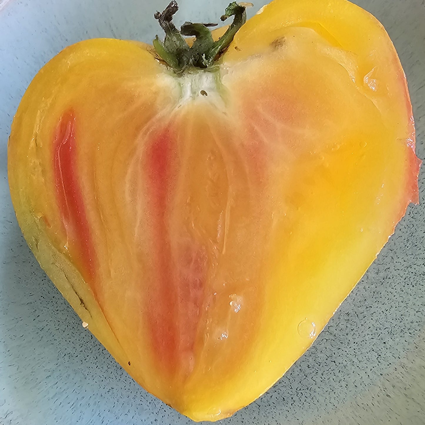 Orange Russian - Heirloom Tomato