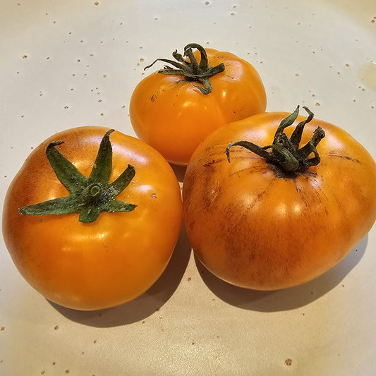 Orange Fleshed Purple Smudge - Heirloom Tomato