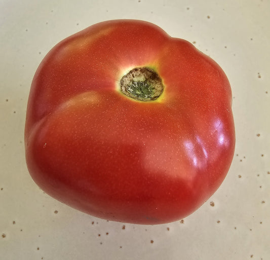 Oaxacan Pink Mexican