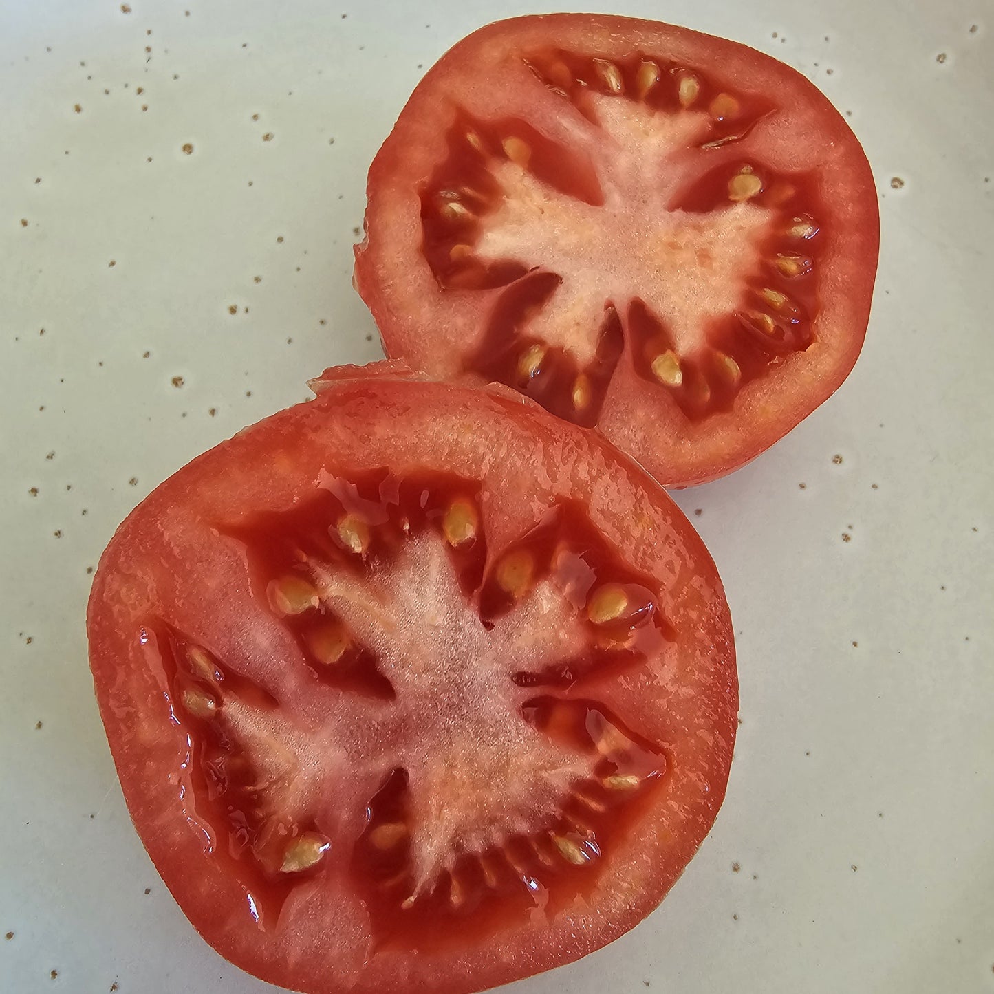 Oaxacan Pink Mexican