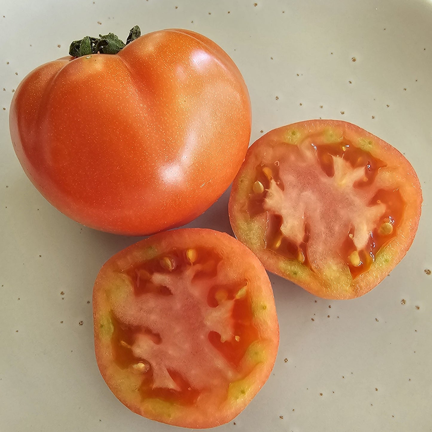 Oaxacan Pink Mexican
