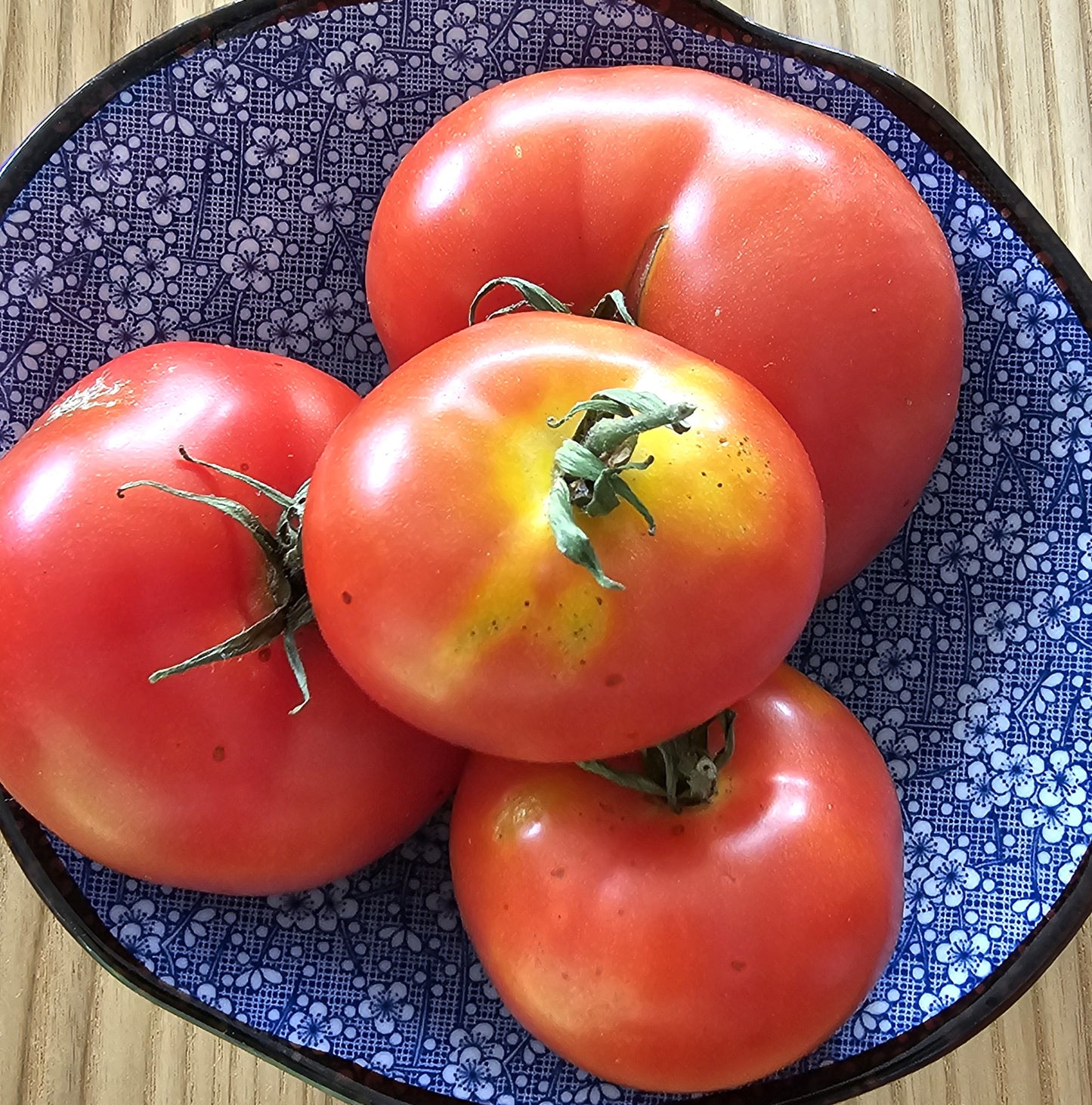 Pantano Romanesco - Heirloom Tomato