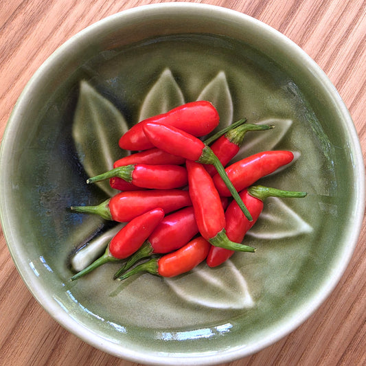 Peri Peri (African Bird's Eye) - Heirloom Chilli