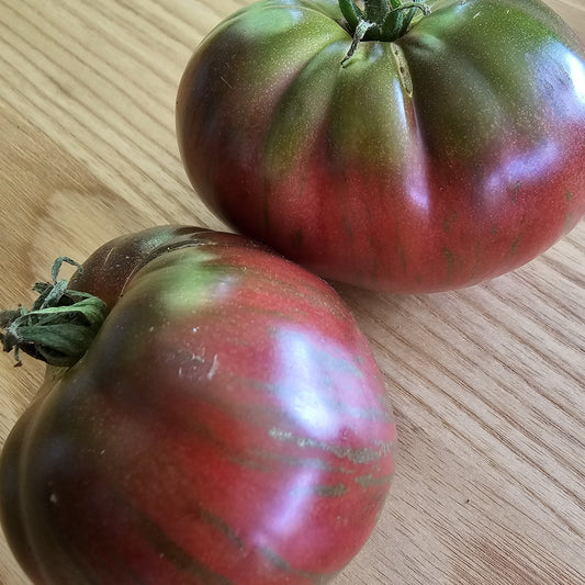 Pink Berkley Tie Dye - Heirloom Tomato