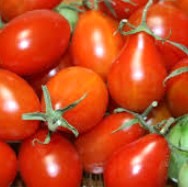 Red Pear - Heirloom Tomato