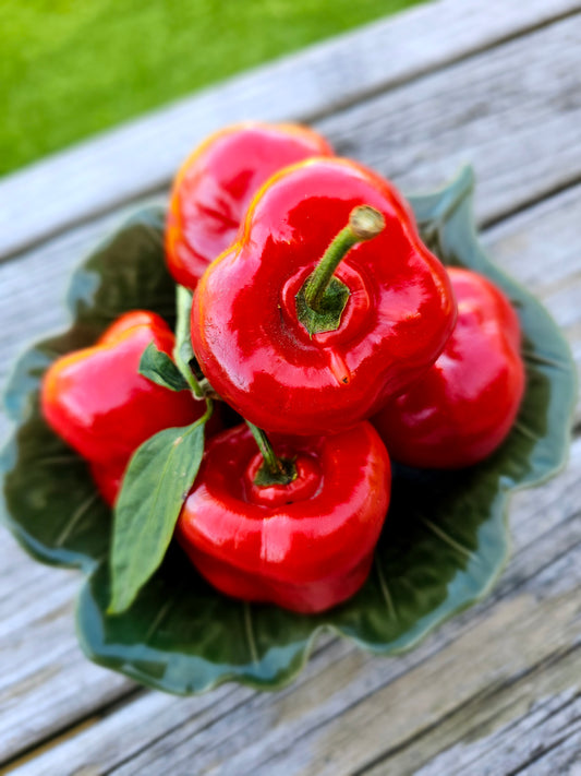 Rocoto Chilli - Capsicum pubescens