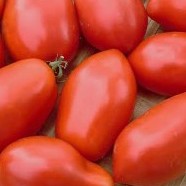 Roma - Heirloom Tomato