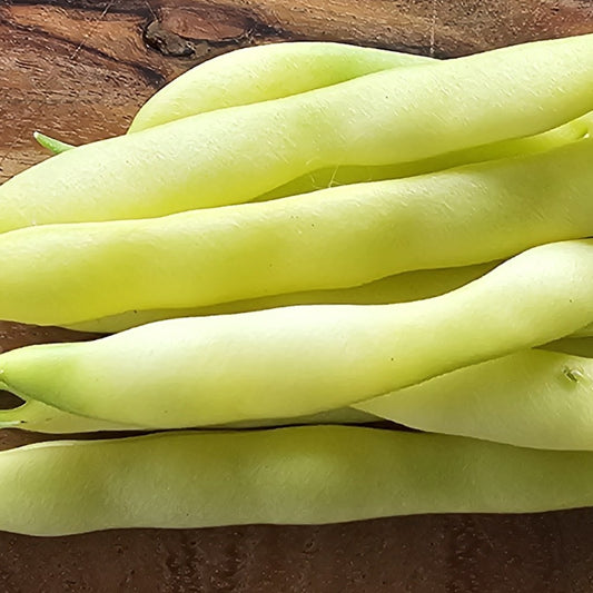 Rydal A Yellow Wax - Heirloom Bean