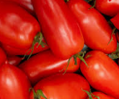 San Marzano - Heirloom Tomato