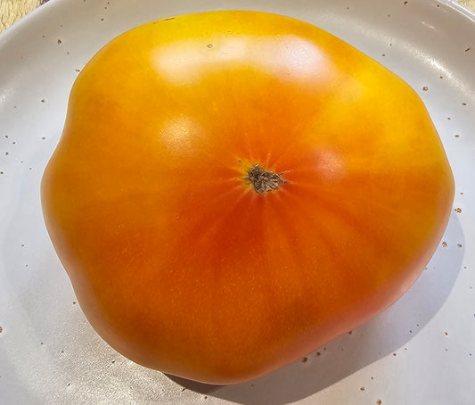 Tennessee Surprise - Heirloom Tomato