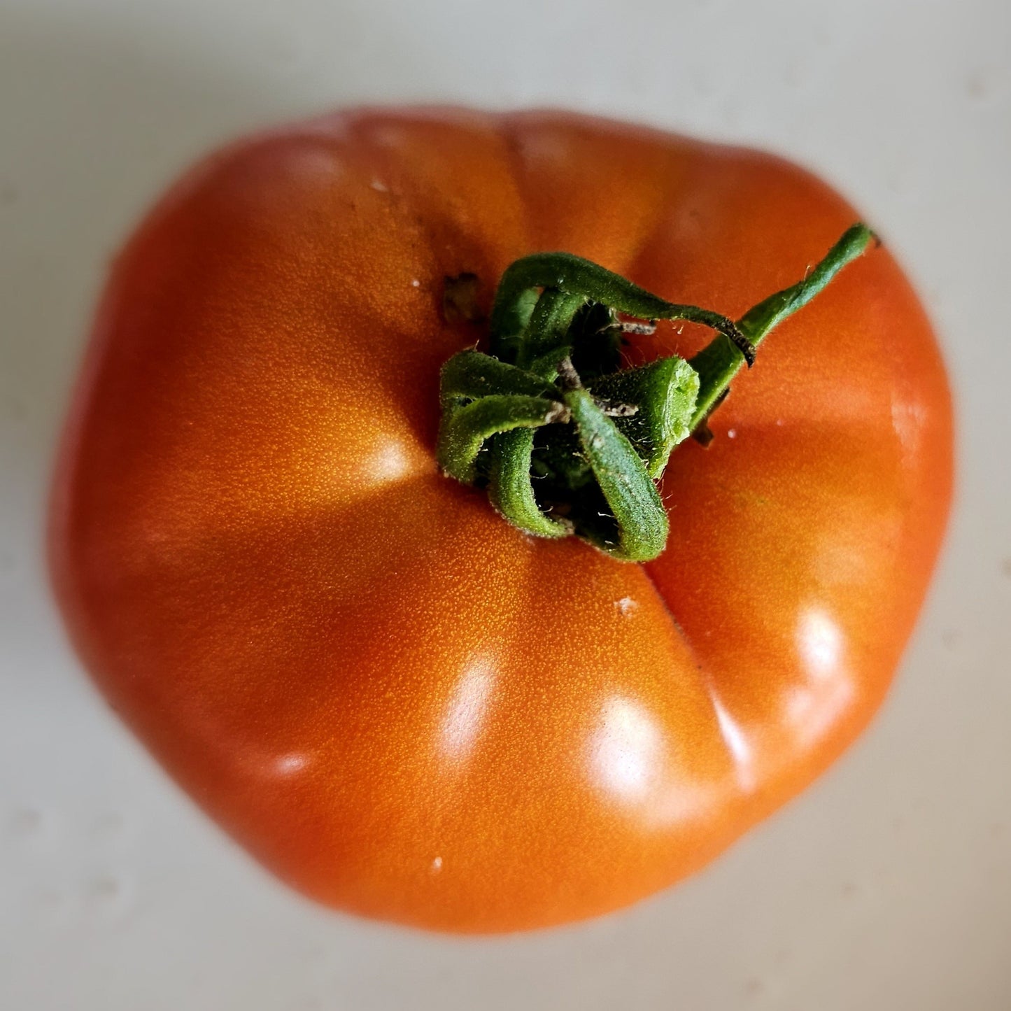Thessaloniki - Heirloom Tomato