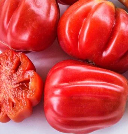 Tlacolula Pink - Heirloom Tomato