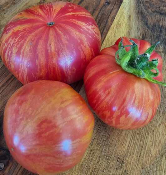 Vintage Wine Striped - Heirloom Tomato
