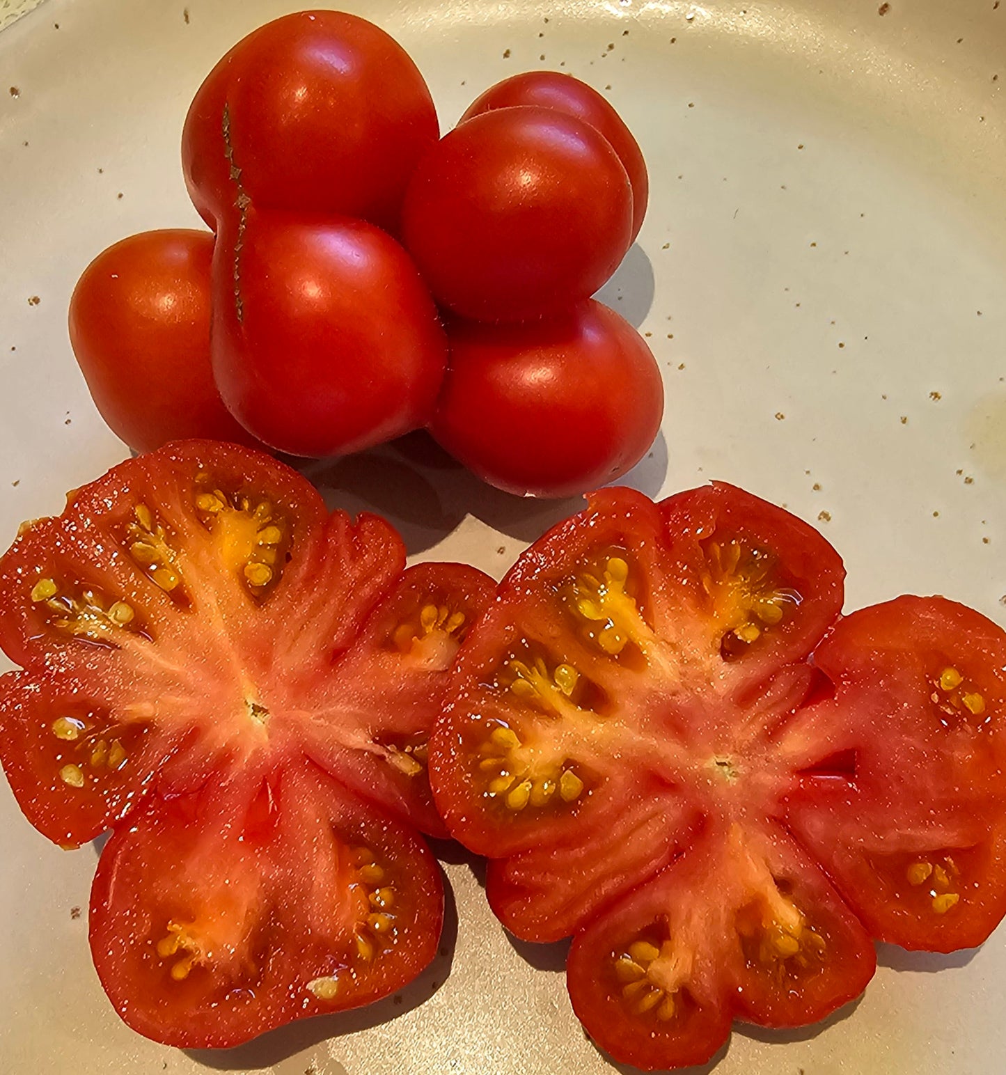 Reisetomate (aka Voyager) - Heirloom Tomato