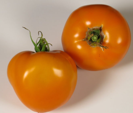 Wally's Spanish - Heirloom Tomato